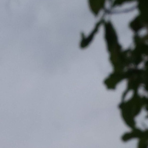 《湿点》增减板1-12
