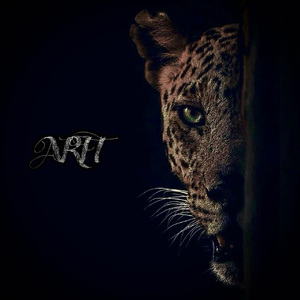 《湿点》增减板1-12
